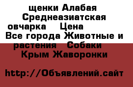 щенки Алабая (Среднеазиатская овчарка) › Цена ­ 15 000 - Все города Животные и растения » Собаки   . Крым,Жаворонки